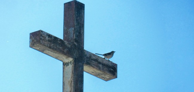 Cross and blue sky