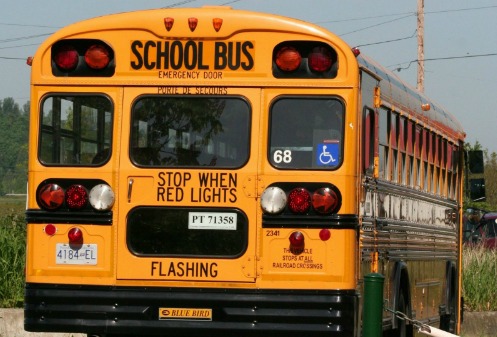 Back of yellow school bus