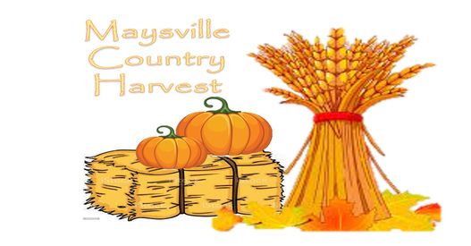 wheat, straw bales & pumpkins